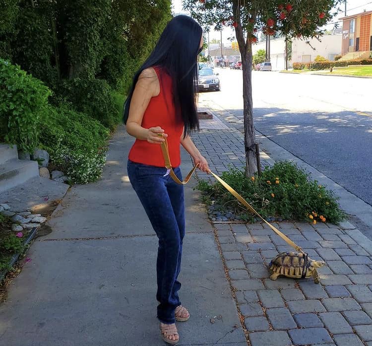 Candace walking her Tortoise
